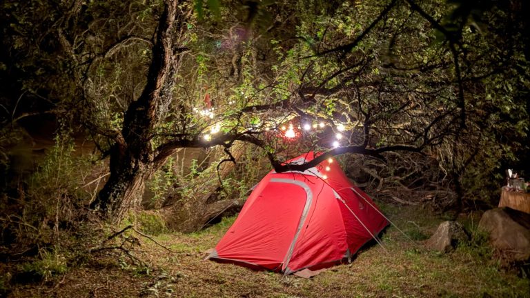 Ouhout Camp Wakkerstroom